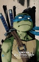 Teenage Mutant Ninja Turtles - Les Tortues Ninja - INT03
